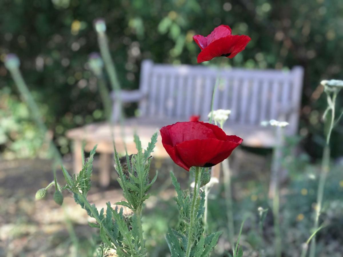 Bed and Breakfast Finca Santana Качі Екстер'єр фото